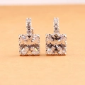Boucles d'oreilles carrées en zircone coupe princesse avec serti micro-pavé scintillant - Carré / Blanc