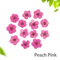 Macro shot of peach red dried flowers for DIY resin art and nail decoration craft - Rose Pink