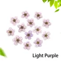 Macro detail of 13 pieces of light purple dried flowers for resin DIY crafts - Light Purple