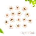 Macro detail of 14 light pink pressed dried narcissus flowers for DIY resin crafts - Light Pink