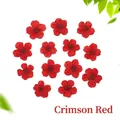 Teste di fiori di narciso rosso essiccati per artigianato in resina e nail art - Rosso
