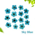 Detailed view of sky blue dried pressed flowers for DIY nail art and resin crafts - Sky Blue