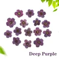 Macro shot of deep purple dried narcissus flowers for DIY resin and nail art crafts - Dark Purple