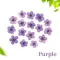 Dried purple narcissus flowers for DIY resin nail art and phone case decoration - Purple