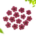 Primer plano de flores secas Rojo Amaranto para proyectos de bricolaje y arte de resina - Amaranto
