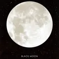 Blocchetto per appunti rotondo a forma di luna con crateri realistici e design luna nera - Luna Bianca e Nera