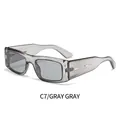 Moderne quadratische Sonnenbrille mit transparentem grauem Rahmen und grauen Gläsern - Grauer Rahmen Graue Gläser