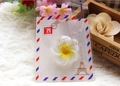 Frangipani flower hair accessory in Paris-themed self-sealing transparent OPP packaging - 10*10+3 Stamp-Blue