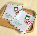 Christmas Santa Claus cookie self-adhesive packaging bags with festive card inserts - 10*10+3 Stamp-Green