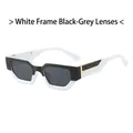 Modern small frame geometric sunglasses with white and black frames and grey lenses - White Frame Dark Grey Lens