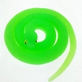 Green translucent soft rubber toy snake with realistic scales and coiled body - Grass Snake (Fluorescent)