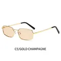 Retro small square metal sunglasses featuring gold frames and champagne tinted lenses - Gold Frame Champagne Lens