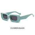 Chic mint green rectangle sunglasses with thick frame and dark grey lenses for men and women - Green Frame Grey Lens