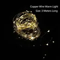 Flexible 3-meter copper wire LED string lights with warm white glow on black background - 3m Copper Wire Warm Light