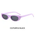 Lunettes de soleil ovales violettes avec verres gris foncé au style rétro - Monture Violet Gelée Verres Gris(C9)