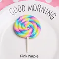 Close-up of a colorful spiral clay lollipop charm on a white ceramic plate - Pink Purple
