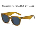 Classic square sunglasses in transparent tea brown frame with dark grey lenses - Olive Green Frame Black Grey Lens