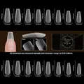 Size chart showing width and length for 480pcs semi-matte coffin false nail tips - Semi-Frosted Coffin Long Style (OMB-01)