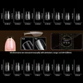 Size chart showing 16 dimensions of half-frosted trapezoid short fake nail tips in 480pcs set - Semi-Frosted Coffin Short Style (OMB-04)