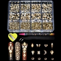 Detailliertes Nagelkunst-Set mit 12-Fächer-Strassbox, Punktierstift und Pinzette auf Schwarz - 12 Raster Champagner Strass Set