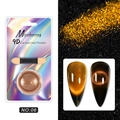 Golden brown 9D cat eye nail powder set NO:06 with sponge applicator for mirror effect - Bronze Gold (06)