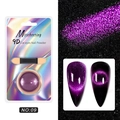 Professional 9D magnetic cat eye nail powder in shade NO:09 with applicator brush - Purple (09)