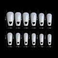 Detailed size chart for heart cutout nail tips in twelve distinct millimeter dimensions - 504 Pieces / Natural Color Heart