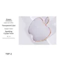 Star shaped resin nail art palette in translucent light purple with golden metal trim - Apple Transparent Palette