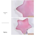 Pink star-shaped resin nail art palette with golden trim for mixing and display - Star Pink Palette