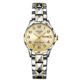 Elegante orologio al quarzo bicolore in acciaio inossidabile con quadrante champagne e datario - Cassa Bicolore Anello Argento Quadrante Oro