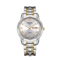 Men's two-tone gold and silver stainless steel quartz watch with Roman numerals - Two-tone Gold Strap - White Dial