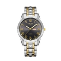 Men's two-tone stainless steel quartz watch with dark grey dial and date display - Two-tone Gold Strap - Black Dial