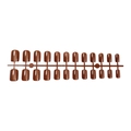 Short square brown cat-eye press-on nails set with gradient shimmer finish - Brown Cat Eye (1XG2-2504-027)