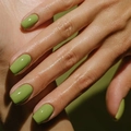 Glossy avocado green short square press-on nails with a smooth and polished finish - Grass Green Short Square Style(1XG2-2504-032)