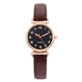 Elegant women's quartz watch with black starry dial and brown leather strap on white backdrop - Brown