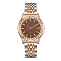 Detailed view of bicolor steel watch strap with crystal-encrusted bezel and brown dial - Brown