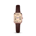 Macro view of octagonal rose gold watch case with blue hands and Roman numerals - Rose Gold Brown