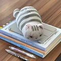 Cute gray and white striped cat plush pencil case with grumpy expression on wood desk - Cat