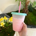 Gobelet à paille en plastique aux couleurs pastel avec couvercle vert menthe frais - Petit Summer Coffee Shop / 470ML