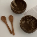 Natural coconut bowl set with wooden spoons on white background for yogurt and salad - Coconut Spoon