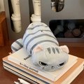 Cute plush grey cat pencil case with stripes and grumpy face on a desk setting - Cat