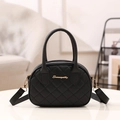 Schwarze gesteppte Mini-Handtasche mit goldener Hardware und verstellbarem Gurt - Schwarz