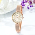 Orologio al quarzo da donna elegante in oro rosa con quadrante minimal e cinturino mesh - Cassa Oro Rosa Quadrante Rosa