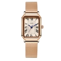 Elegant rose gold rectangular watch with mesh strap and roman numerals by Gedi - Rose Gold Case Rose Gold Dial Rose Gold Mesh Strap