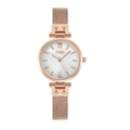 Elegant rose gold mesh watch with white mother-of-pearl dial and Roman numerals - Rose Gold Band White Dial