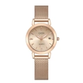Elegant rose gold women's quartz watch with date display and mesh stainless steel strap - Rose Gold Dial Rose Gold Band