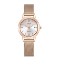 Rose gold quartz watch for women with silver dial and mesh strap featuring date display - Silver Dial Rose Gold Band