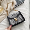 Crossbody bag in black and white snake skin pattern with elegant gold chain strap - White