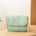 Mint green quilted crossbody bag with gold chain strap and elegant square flap closure - Green