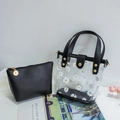 Transparente Gänseblümchen-Handtasche mit schwarzem Lederbesatz und Innentasche - Schwarz